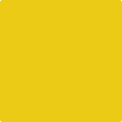 Benjamin Moore's 2023-10 Yolk Paint Color
