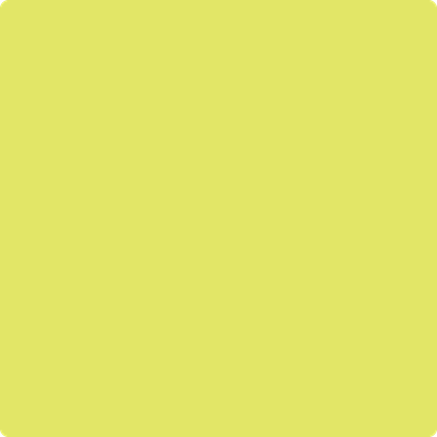 Benjamin Moore's 2025-40 Limelight Paint Color
