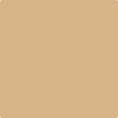 Benjamin Moore Color CC-410 Boardwalk