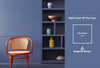 2024 Color Trends in Paint and Interior Design: Should You Follow or Forge Your Own Path?