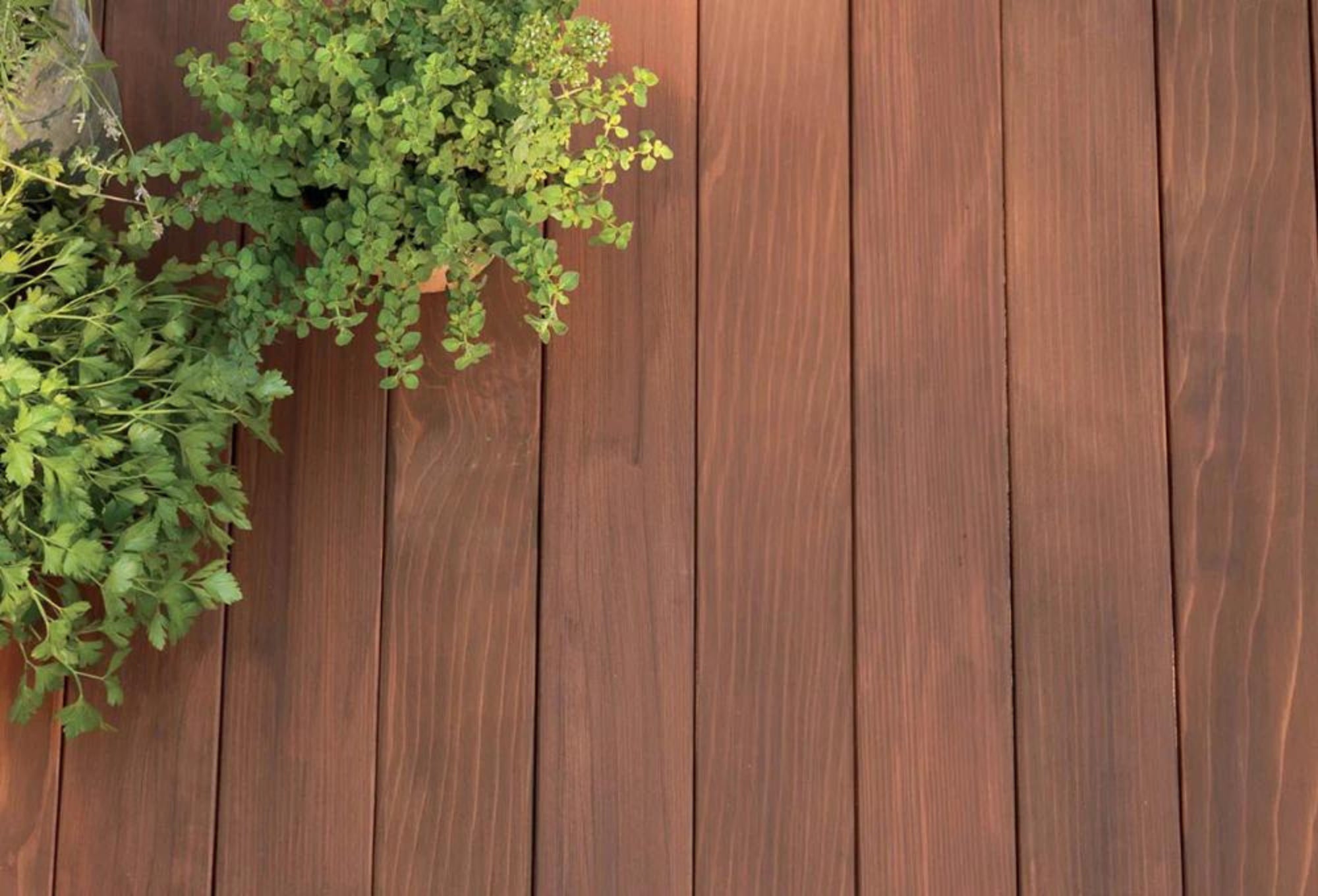 Using a Wood Wash Annually: Ricciardi Brothers' Guide to Preserving Your  Deck's Benjamin Moore Wood Stain