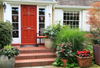 How to Pick the Best Color for Your Front Door