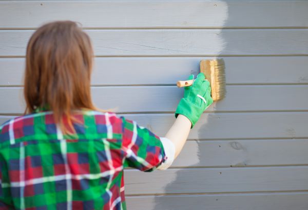 Shield Your Paint: DIY Exterior Protection Shield Your Paint: DIY Exterior Protection
