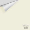 Digital color swatch of Benjamin Moore's Ancient Ivory 935 Peel & Stick Sample available at Ricciardi BRothers in PA, DE, & NJ.