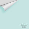 Digital color swatch of Benjamin Moore's Arctic Blue 2050-60 Peel & Stick Sample available at Ricciardi BRothers in PA, DE, & NJ.