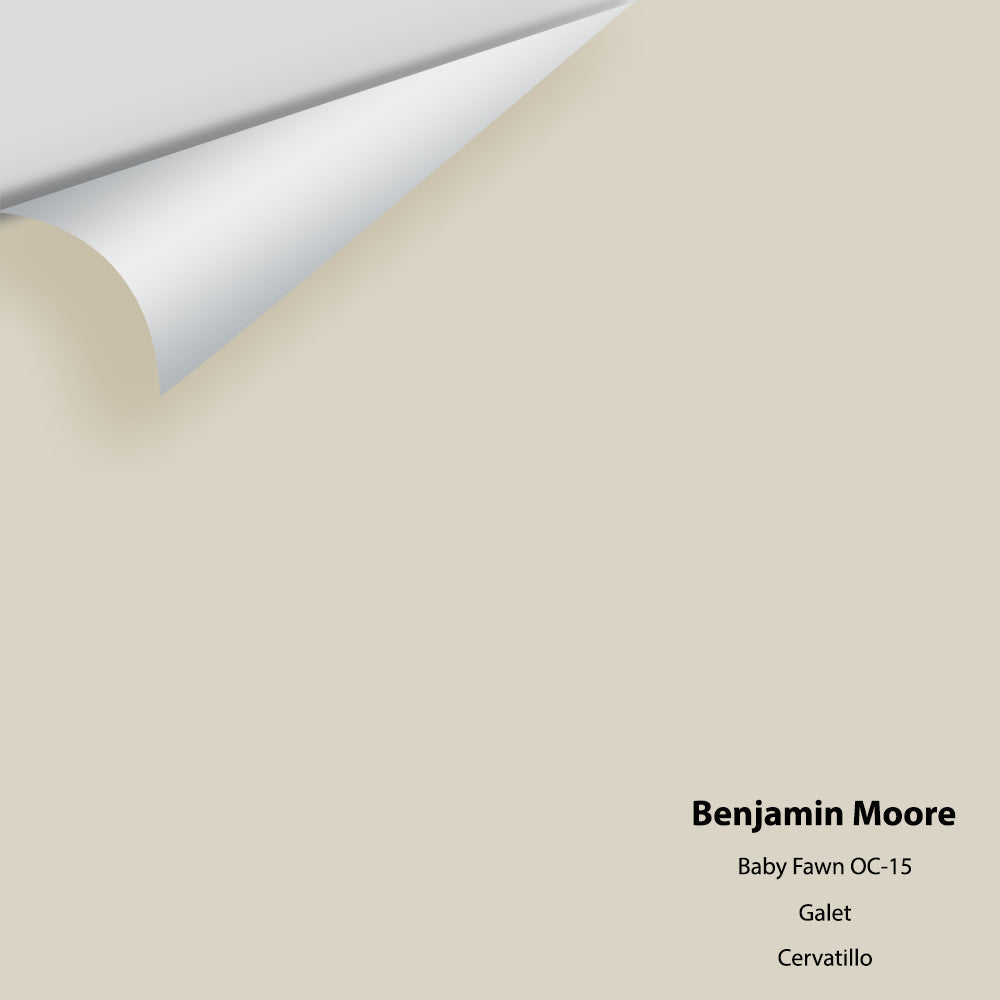 Digital color swatch of Benjamin Moore's Baby Fawn OC-15 Peel & Stick Sample available at Ricciardi BRothers in PA, DE, & NJ.