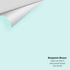 Digital color swatch of Benjamin Moore's Barely Teal 2048-70 Peel & Stick Sample available at Ricciardi BRothers in PA, DE, & NJ.