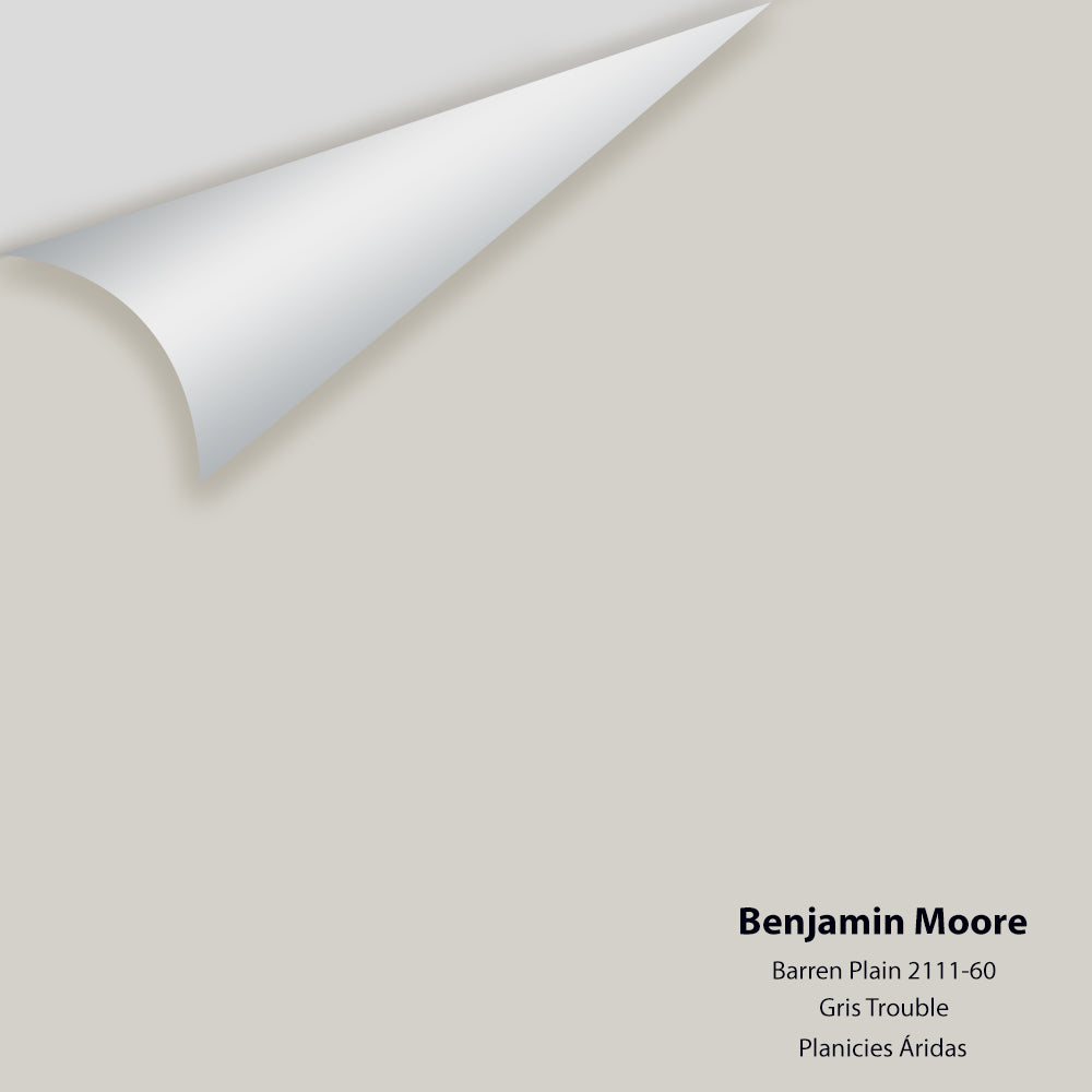 Digital color swatch of Benjamin Moore's Barren Plain 2111-60 Peel & Stick Sample available at Ricciardi BRothers in PA, DE, & NJ.