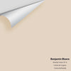 Digital color swatch of Benjamin Moore's Brandy Cream OC-4 Peel & Stick Sample available at Ricciardi BRothers in PA, DE, & NJ.