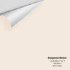 Digital color swatch of Benjamin Moore's Candle White 2164-70 Peel & Stick Sample available at Ricciardi BRothers in PA, DE, & NJ.