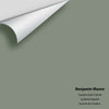 Digital color swatch of Benjamin Moore's Carolina Gull 2138-40 Peel & Stick Sample available at Ricciardi BRothers in PA, DE, & NJ.