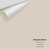 Digital color swatch of Benjamin Moore's Cedar Key 982 Peel & Stick Sample available at Ricciardi BRothers in PA, DE, & NJ.