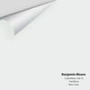 Digital color swatch of Benjamin Moore's Chalk White 2126-70 Peel & Stick Sample available at Ricciardi BRothers in PA, DE, & NJ.