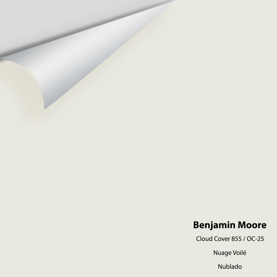 Digital color swatch of Benjamin Moore's Cloud Cover 855 Peel & Stick Sample available at Ricciardi BRothers in PA, DE, & NJ.