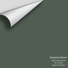 Digital color swatch of Benjamin Moore's Dakota Shadow 448 Peel & Stick Sample available at Ricciardi BRothers in PA, DE, & NJ.