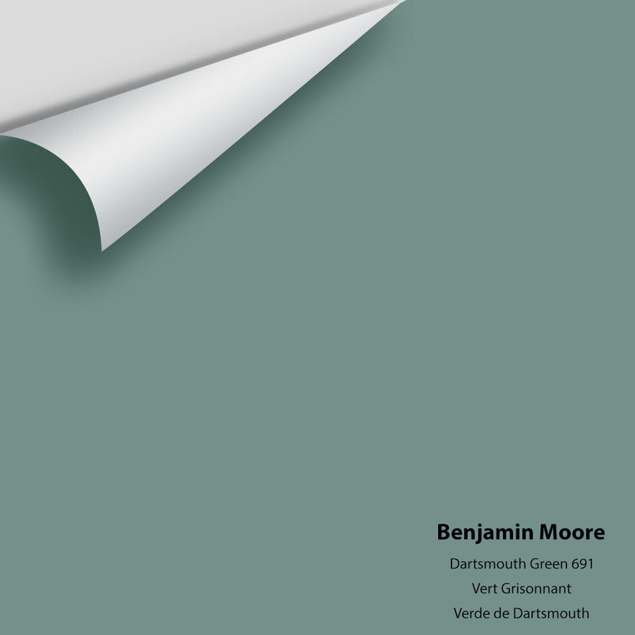 Digital color swatch of Benjamin Moore's Dartsmouth Green 691 Peel & Stick Sample available at Ricciardi BRothers in PA, DE, & NJ.