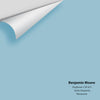 Digital color swatch of Benjamin Moore's Daydream CSP-615 Peel & Stick Sample available at Ricciardi BRothers in PA, DE, & NJ.