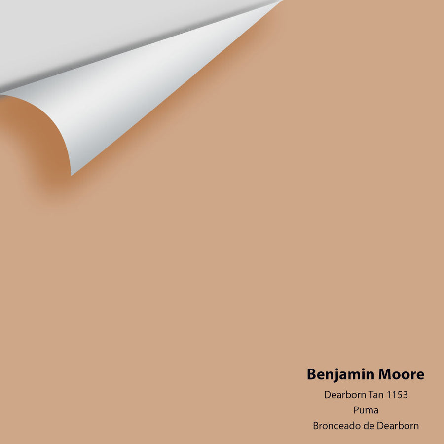 Digital color swatch of Benjamin Moore's Dearborn Tan 1153 Peel & Stick Sample available at Ricciardi BRothers in PA, DE, & NJ.