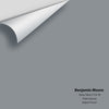 Digital color swatch of Benjamin Moore's Deep Silver 2124-30 Peel & Stick Sample available at Ricciardi BRothers in PA, DE, & NJ.