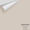 Digital color swatch of Benjamin Moore's Desert Light 1004 Peel & Stick Sample available at Ricciardi BRothers in PA, DE, & NJ.