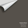 Digital color swatch of Benjamin Moore's Dragon's Breath 1547 Peel & Stick Sample available at Ricciardi BRothers in PA, DE, & NJ.