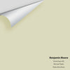 Digital color swatch of Benjamin Moore's Dune Grass 492 Peel & Stick Sample available at Ricciardi BRothers in PA, DE, & NJ.