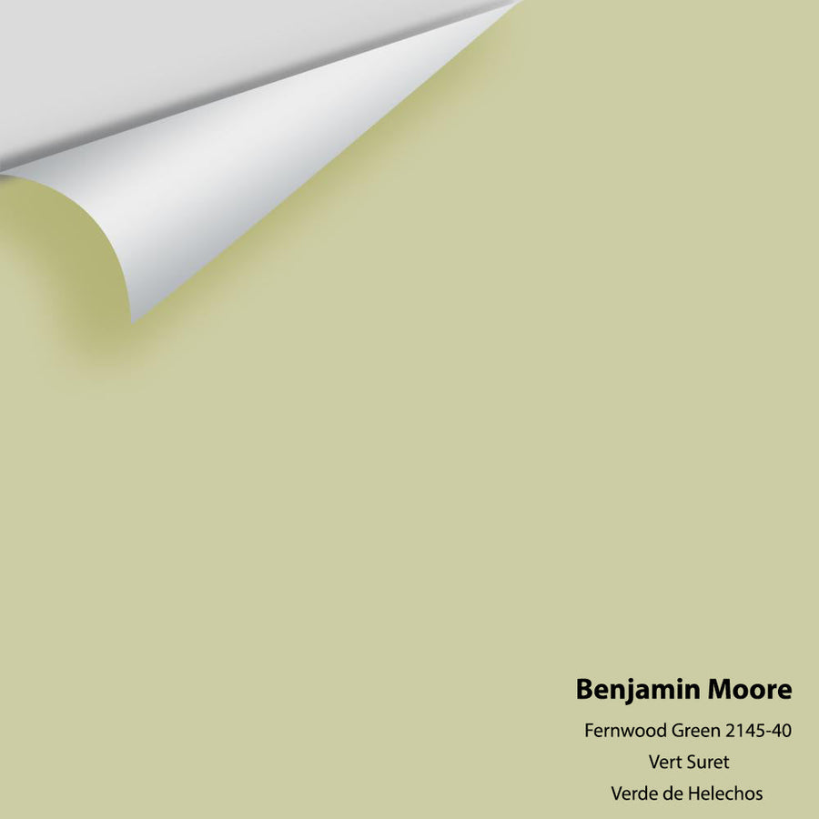 Digital color swatch of Benjamin Moore's Fernwood Green 2145-40 Peel & Stick Sample available at Ricciardi BRothers in PA, DE, & NJ.