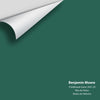 Digital color swatch of Benjamin Moore's Fiddlehead Green 2041-20 Peel & Stick Sample available at Ricciardi BRothers in PA, DE, & NJ.