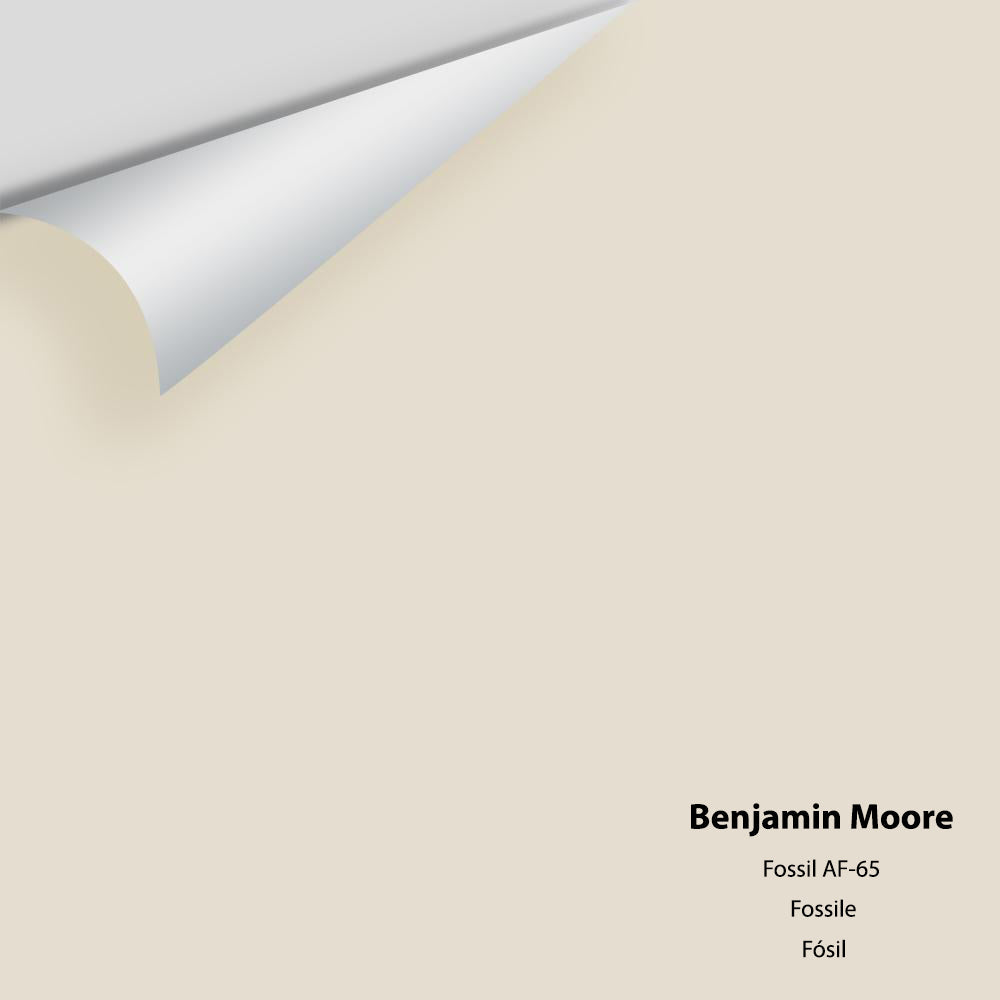 Digital color swatch of Benjamin Moore's Fossil AF-65 Peel & Stick Sample available at Ricciardi BRothers in PA, DE, & NJ.