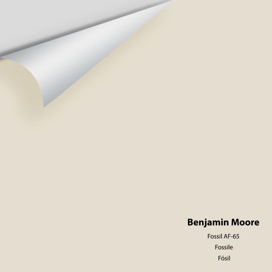 Digital color swatch of Benjamin Moore's Fossil AF-65 Peel & Stick Sample available at Ricciardi BRothers in PA, DE, & NJ.