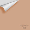 Digital color swatch of Benjamin Moore's Galt Peach CW-210 Peel & Stick Sample available at Ricciardi BRothers in PA, DE, & NJ.