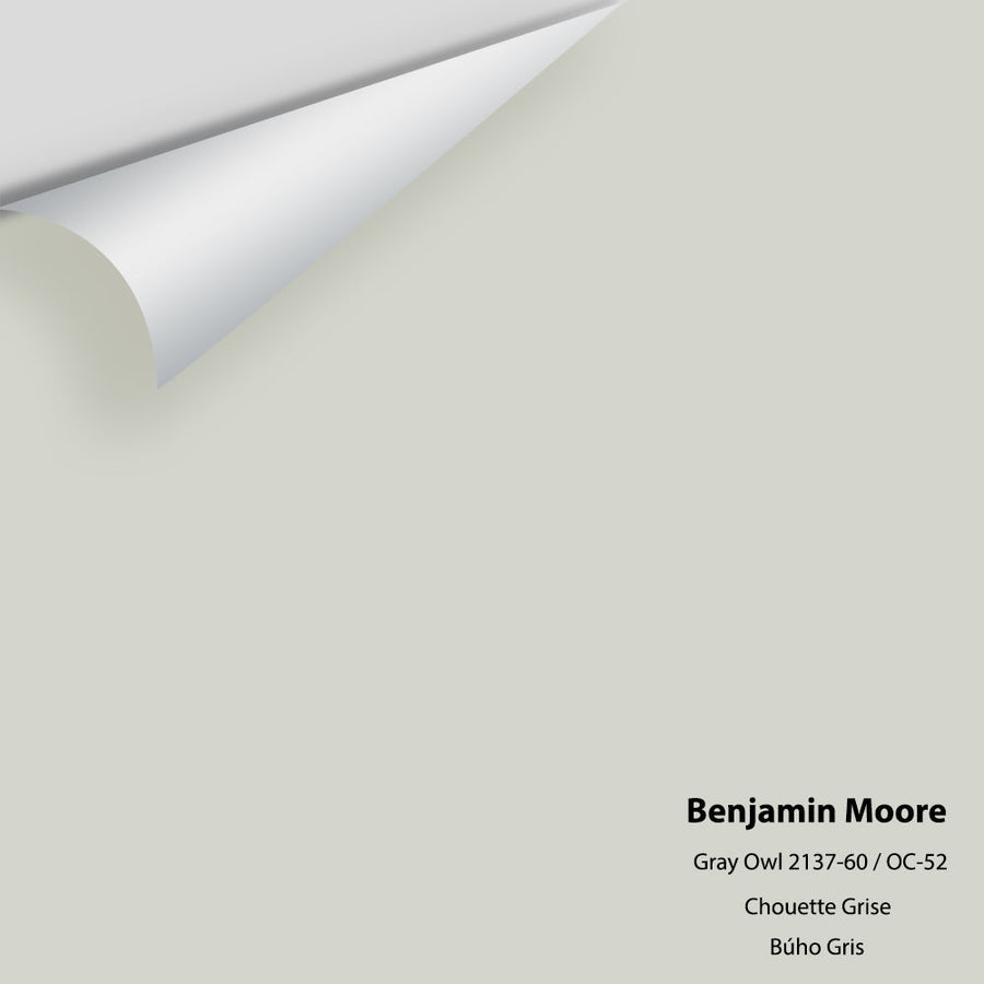 Digital color swatch of Benjamin Moore's Gray Owl 2137-60 Peel & Stick Sample available at Ricciardi BRothers in PA, DE, & NJ.