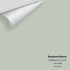 Digital color swatch of Benjamin Moore's Gray Wisp CC-670 Peel & Stick Sample available at Ricciardi BRothers in PA, DE, & NJ.