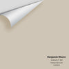 Digital color swatch of Benjamin Moore's Inukshuk CC-460 Peel & Stick Sample available at Ricciardi BRothers in PA, DE, & NJ.