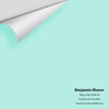 Digital color swatch of Benjamin Moore's Misty Teal 2046-60 Peel & Stick Sample available at Ricciardi BRothers in PA, DE, & NJ.