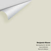 Digital color swatch of Benjamin Moore's Morning Dew 1493 Peel & Stick Sample available at Ricciardi BRothers in PA, DE, & NJ.