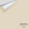 Digital color swatch of Benjamin Moore's Muslin 1037 Peel & Stick Sample available at Ricciardi BRothers in PA, DE, & NJ.