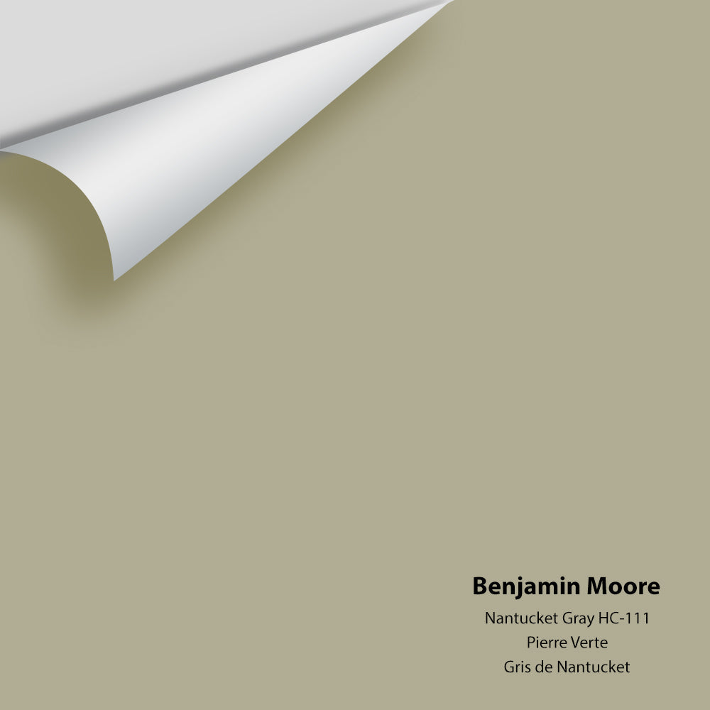 Digital color swatch of Benjamin Moore's Nantucket Gray HC-111 Peel & Stick Sample available at Ricciardi BRothers in PA, DE, & NJ.