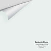 Digital color swatch of Benjamin Moore's Palest Pistachio 2122-60 Peel & Stick Sample available at Ricciardi BRothers in PA, DE, & NJ.