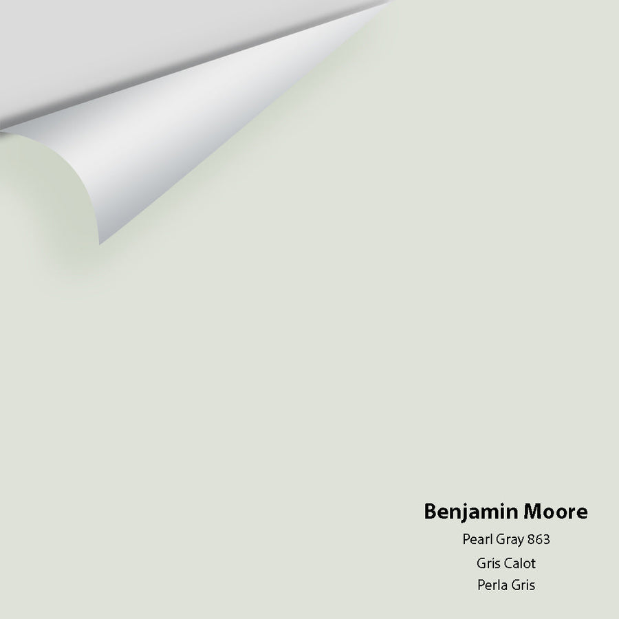 Digital color swatch of Benjamin Moore's Pearl Gray 863 Peel & Stick Sample available at Ricciardi BRothers in PA, DE, & NJ.