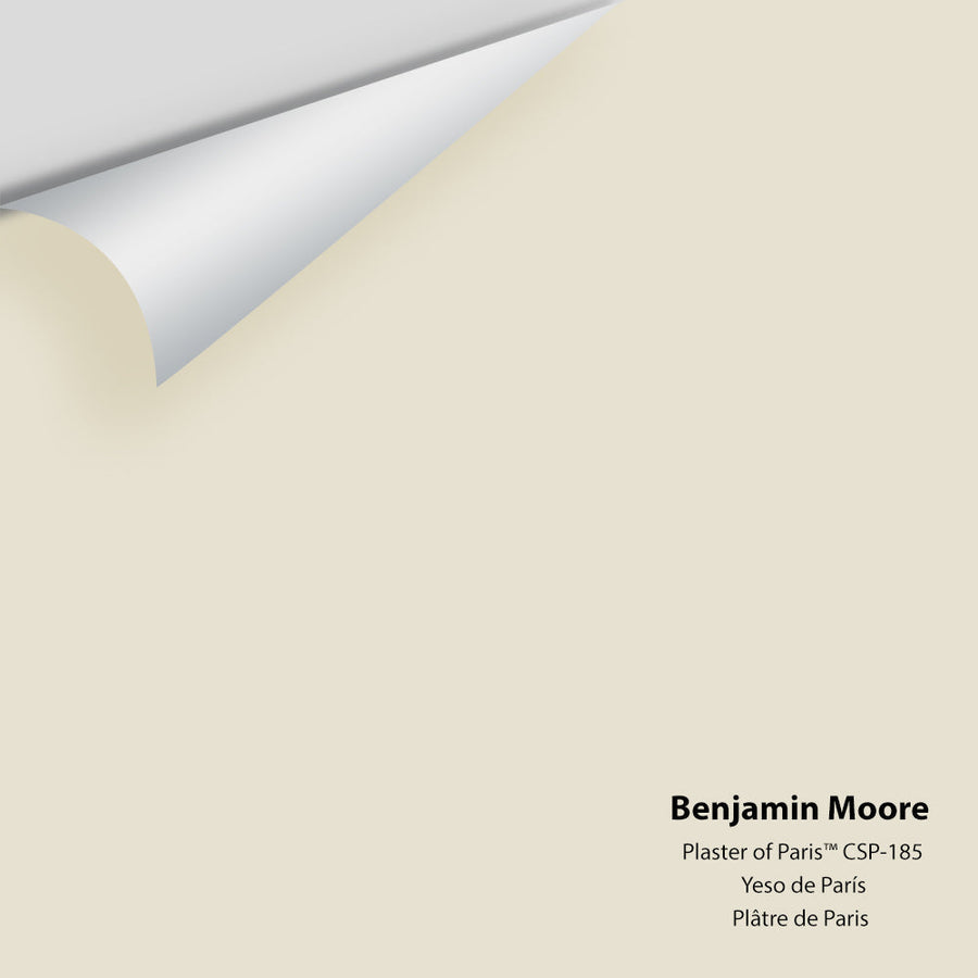 Digital color swatch of Benjamin Moore's Plaster of Paris CSP-185 Peel & Stick Sample available at Ricciardi BRothers in PA, DE, & NJ.