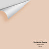 Digital color swatch of Benjamin Moore's Raleigh Peach CW-205 Peel & Stick Sample available at Ricciardi BRothers in PA, DE, & NJ.