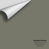 Digital color swatch of Benjamin Moore's Rooftop Garden CSP-765 Peel & Stick Sample available at Ricciardi BRothers in PA, DE, & NJ.
