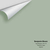 Digital color swatch of Benjamin Moore's Sage Wisdom CSP-775 Peel & Stick Sample available at Ricciardi BRothers in PA, DE, & NJ.