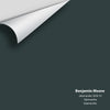 Digital color swatch of Benjamin Moore's Salamander 2050-10 Peel & Stick Sample available at Ricciardi BRothers in PA, DE, & NJ.