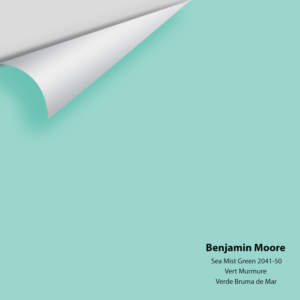 Digital color swatch of Benjamin Moore's Sea Mist Green 2041-50 Peel & Stick Sample available at Ricciardi BRothers in PA, DE, & NJ.