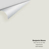 Digital color swatch of Benjamin Moore's Silver Satin OC-26 Peel & Stick Sample available at Ricciardi BRothers in PA, DE, & NJ.