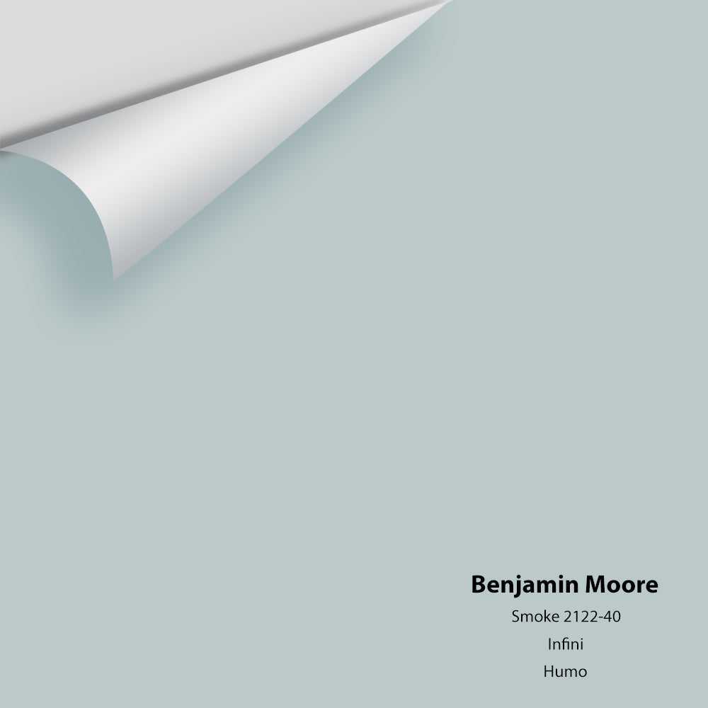 Digital color swatch of Benjamin Moore's Smoke 2122-40 Peel & Stick Sample available at Ricciardi BRothers in PA, DE, & NJ.