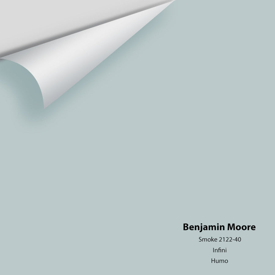 Digital color swatch of Benjamin Moore's Smoke 2122-40 Peel & Stick Sample available at Ricciardi BRothers in PA, DE, & NJ.