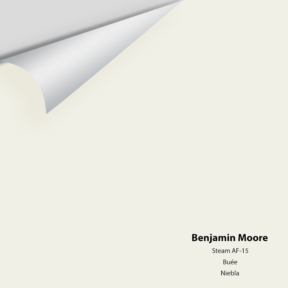 Digital color swatch of Benjamin Moore's Steam AF-15 Peel & Stick Sample available at Ricciardi BRothers in PA, DE, & NJ.